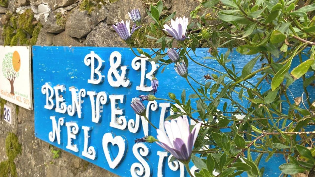 Sessa Cilento Benvenuti Nel Sud Bed & Breakfast エクステリア 写真