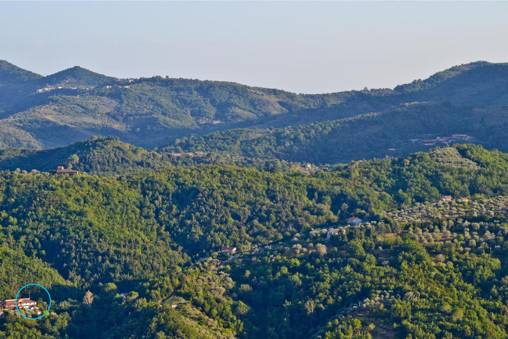 Sessa Cilento Benvenuti Nel Sud Bed & Breakfast エクステリア 写真