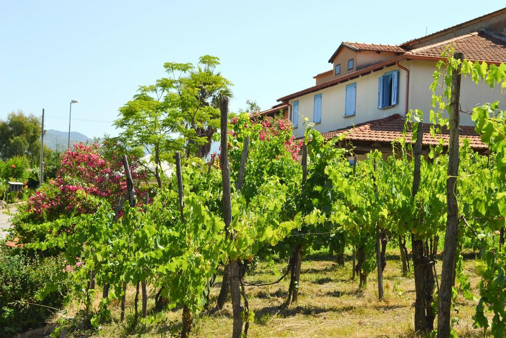 Sessa Cilento Benvenuti Nel Sud Bed & Breakfast エクステリア 写真