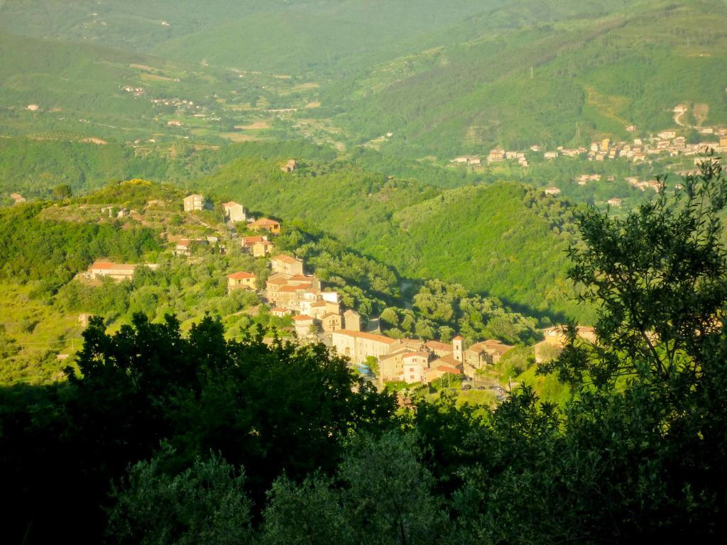 Sessa Cilento Benvenuti Nel Sud Bed & Breakfast エクステリア 写真