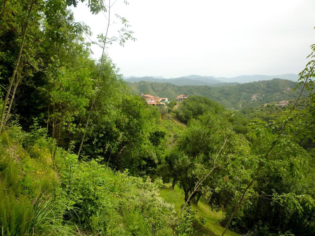 Sessa Cilento Benvenuti Nel Sud Bed & Breakfast エクステリア 写真