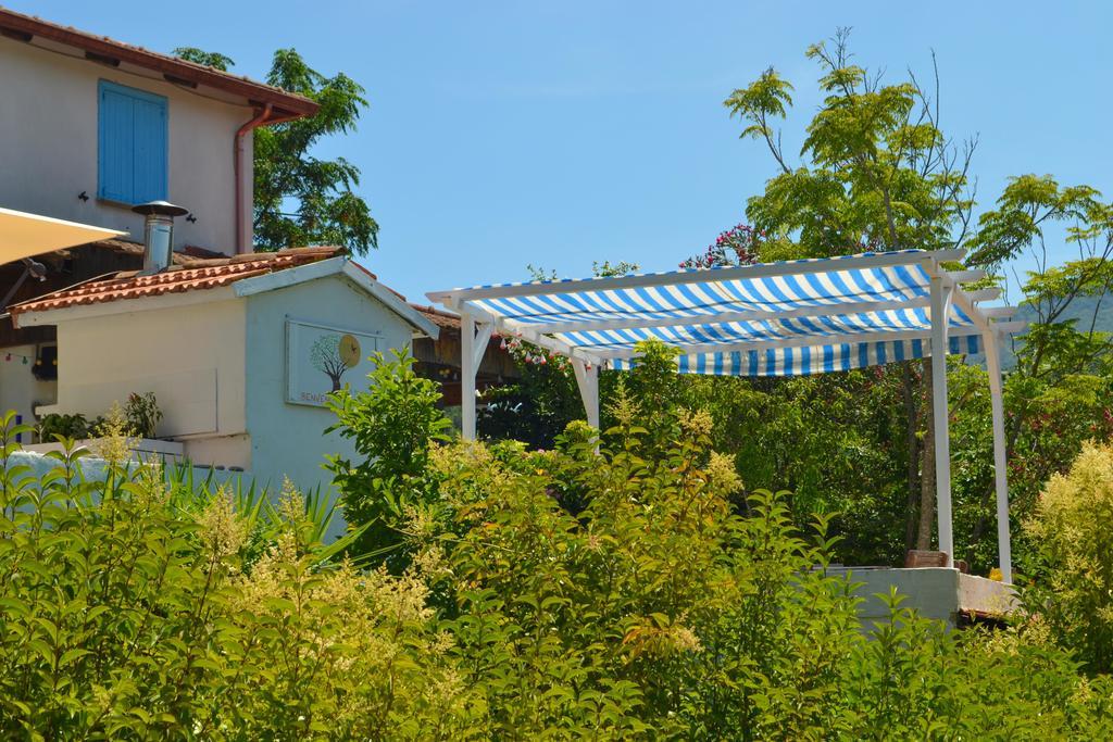 Sessa Cilento Benvenuti Nel Sud Bed & Breakfast エクステリア 写真