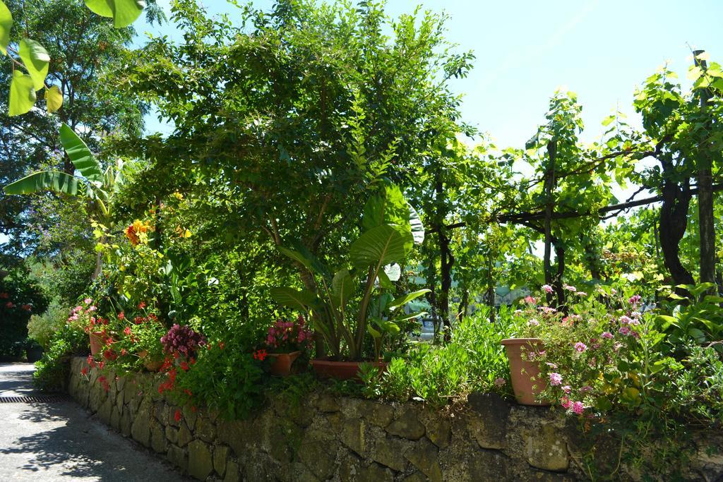 Sessa Cilento Benvenuti Nel Sud Bed & Breakfast エクステリア 写真