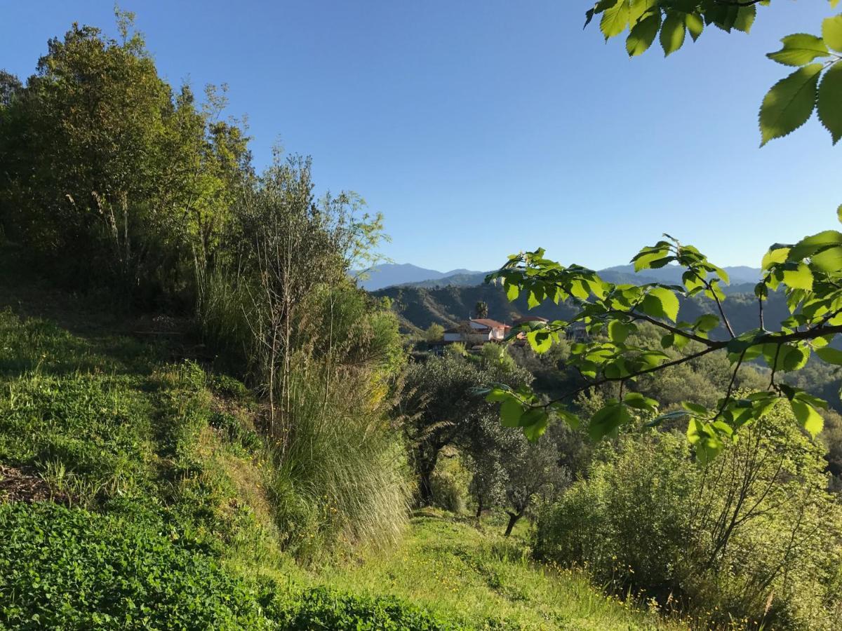 Sessa Cilento Benvenuti Nel Sud Bed & Breakfast エクステリア 写真