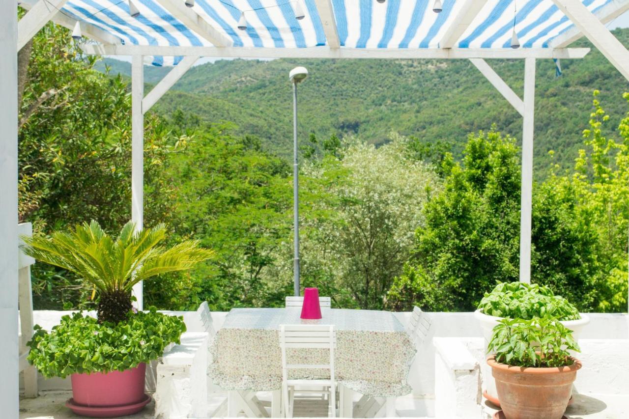 Sessa Cilento Benvenuti Nel Sud Bed & Breakfast エクステリア 写真